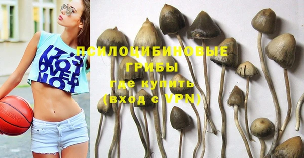 винт Арсеньев