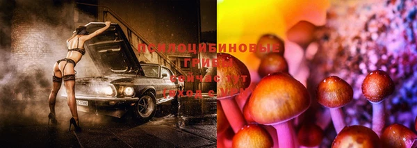 соль курить ск Алексеевка