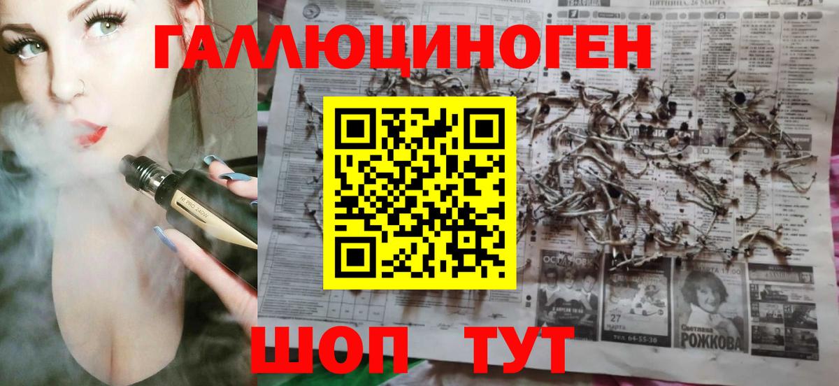 Псилоцибиновые грибы Cubensis Новошахтинск