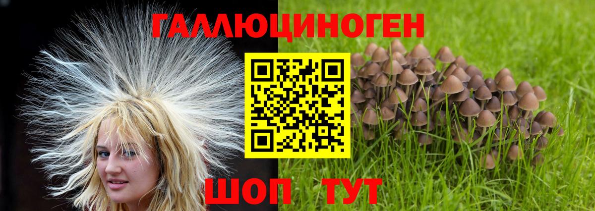 Псилоцибиновые грибы MAGIC MUSHROOMS  Вход с VPN  что такое наркотик  Псилоцибиновые грибы мицелий  Новошахтинск 